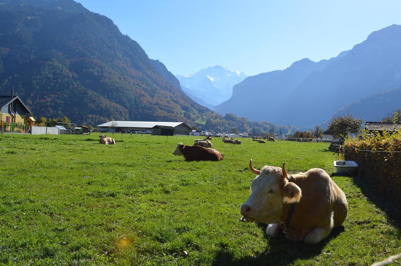 Jungfrau Family Holiday Home Matten bei Interlaken エクステリア 写真